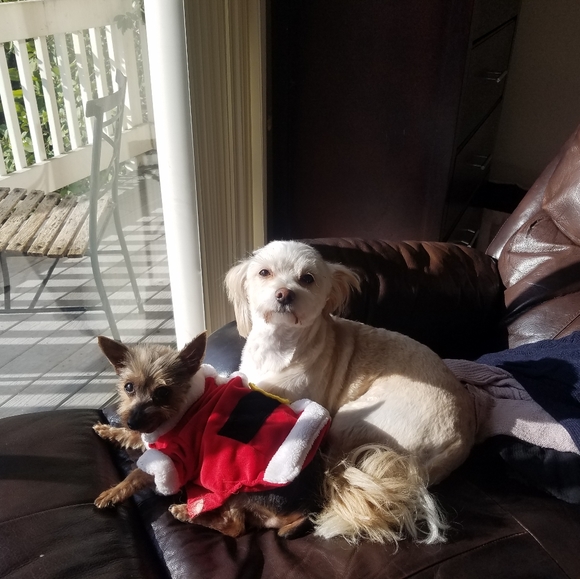 Vintage Jewelry - Trade as discussed 😘😘😘😘🤗🤩